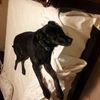 richardhobbs24